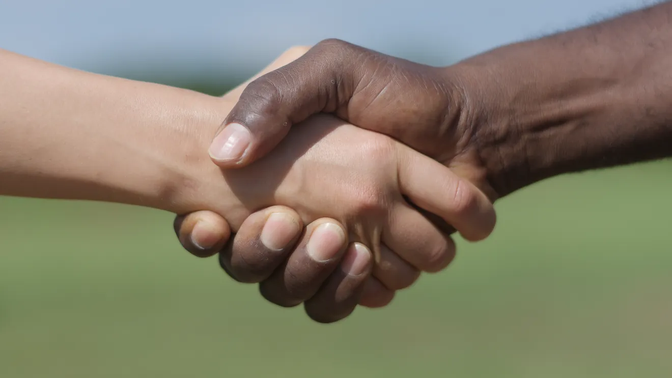 A handshake between a white hand and a black hand