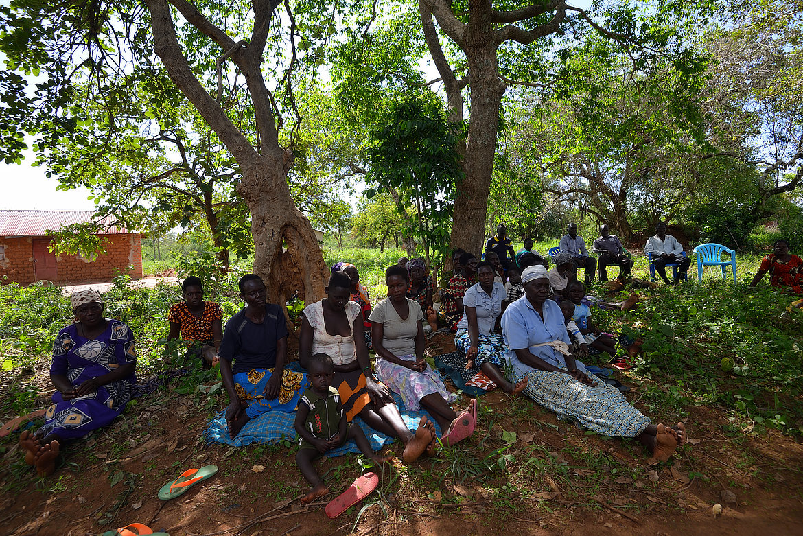 Groups of people under a tree