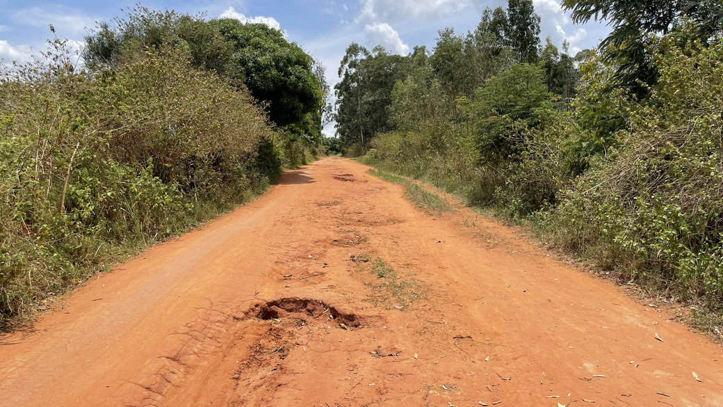 Road of red earth, bushes on the left and right.