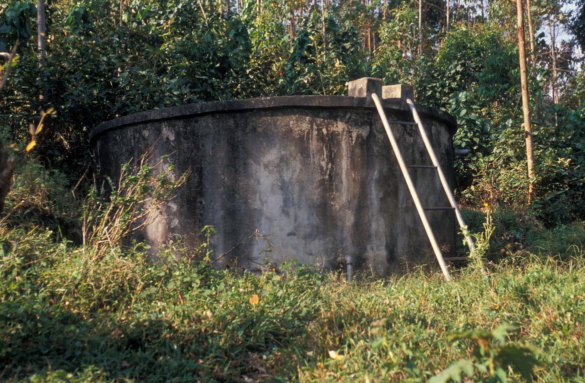 Elevated tank in the forest